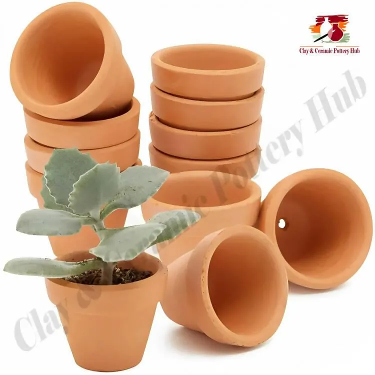 10 Pack Mini Terracotta Pots with Drainage Holes for Plants, Succulent, Cactus