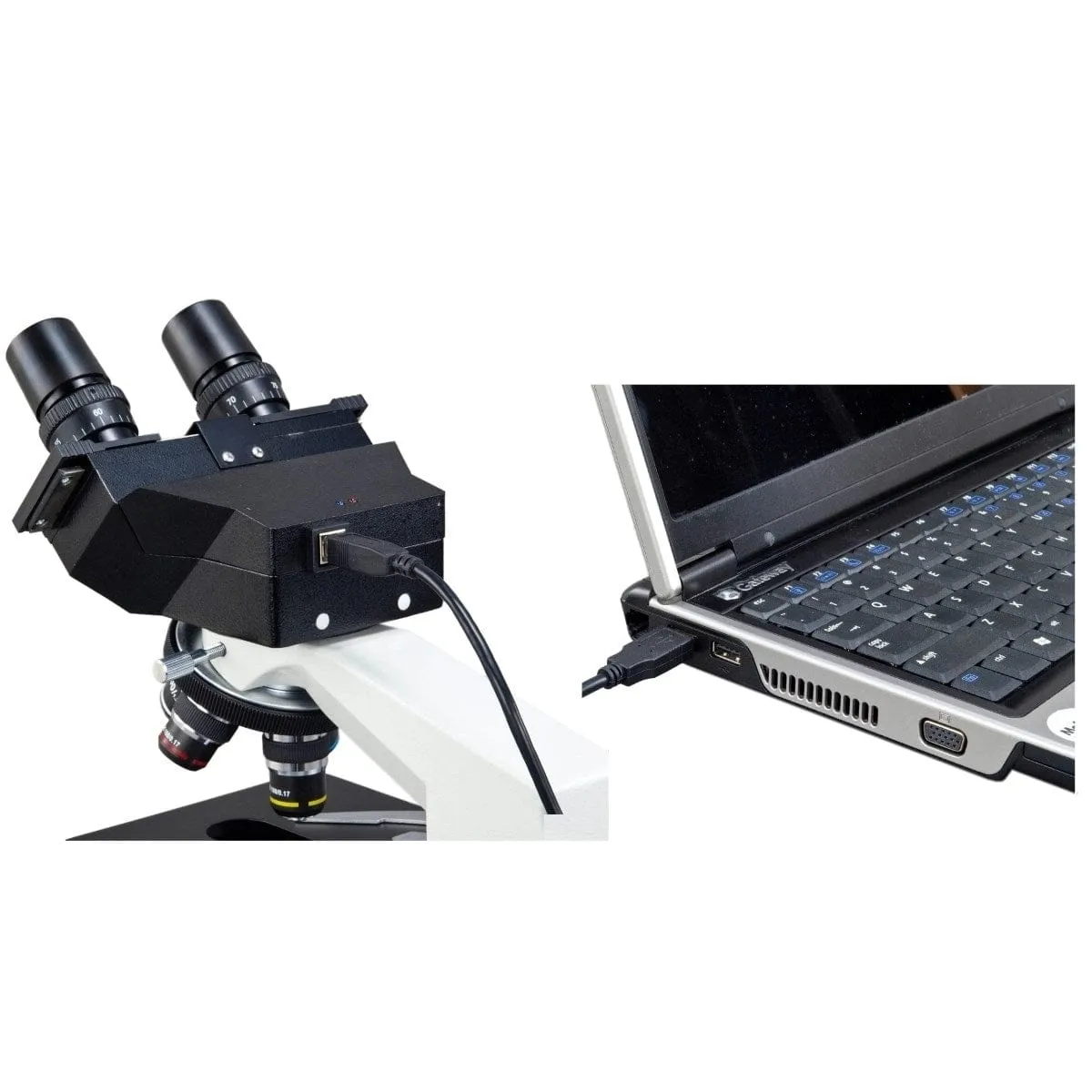 40X-400X 3MP Digital Integrated Microscope with Halogen Illumination