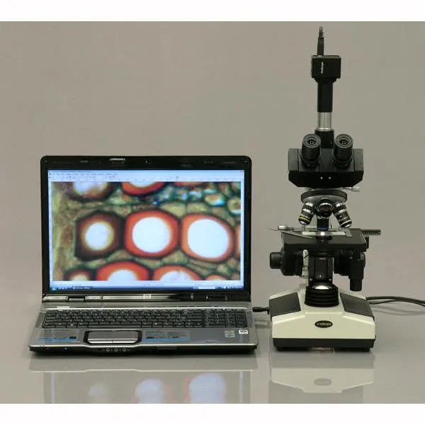 AmScope T390 Series Biological Trinocular Compound Microscope with 20W Halogen, 3D Mechanical Stage and Optional Digital Camera