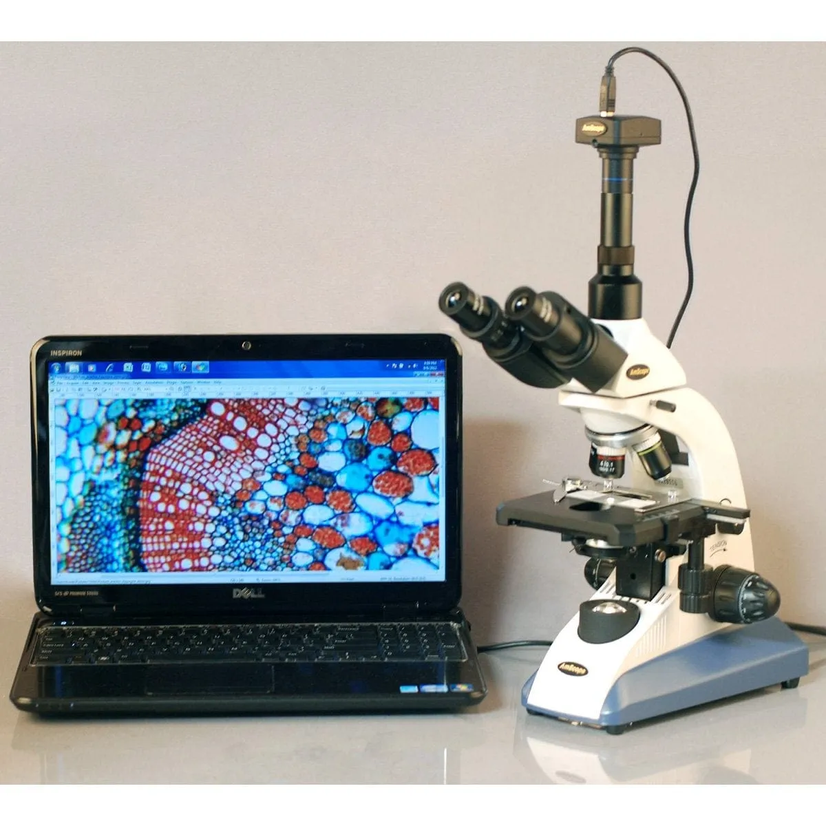 AmScope T520 Series Biological Trinocular Compound Microscope with 20W Halogen, 3D Mechanical Stage and Optional Digital Camera