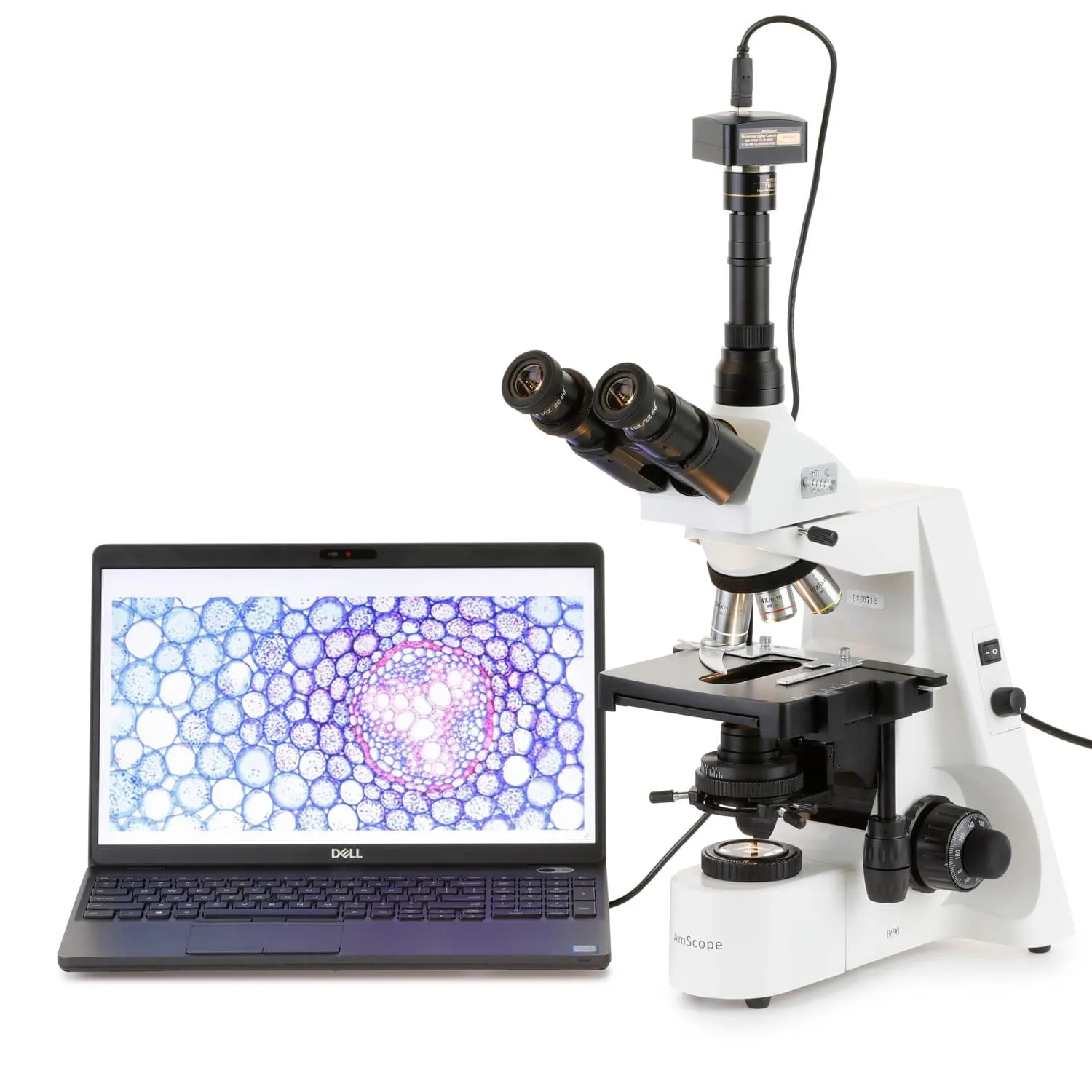 AmScope T690 Infinity Plan Darkfield Trinocular Compound Microscope with 20W Halogen Kohler Illumination and Optional Digital Camera