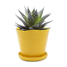 Big Tika Planter - Meadowlark Yellow