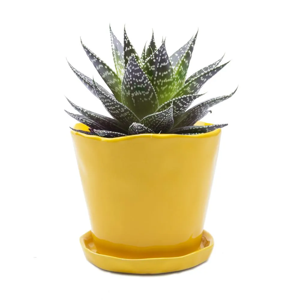 Big Tika Planter - Meadowlark Yellow