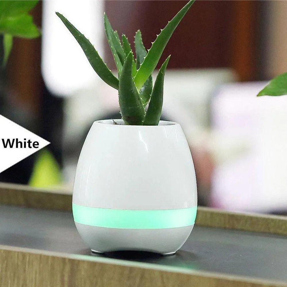 Bluetooth Speaker Plant Music Pot - Real Flower Smart Touch Light Colour Decor