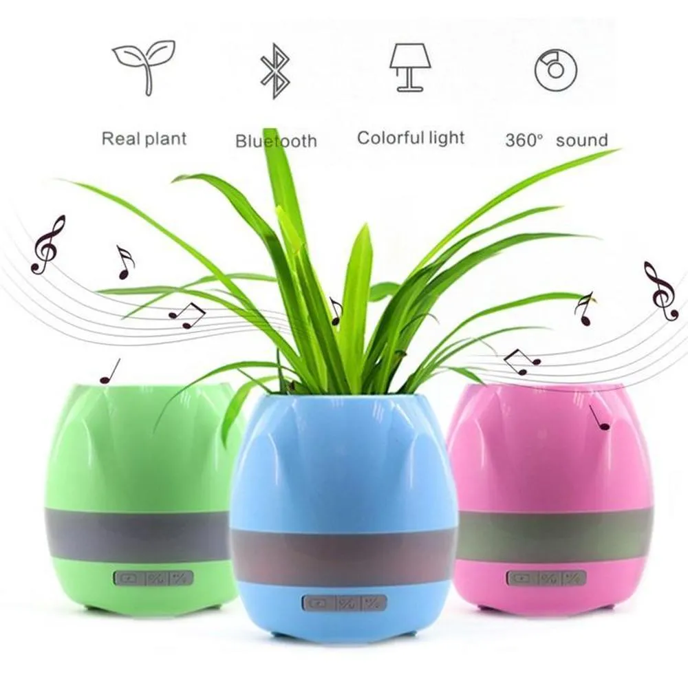 Bluetooth Speaker Plant Music Pot - Real Flower Smart Touch Light Colour Decor