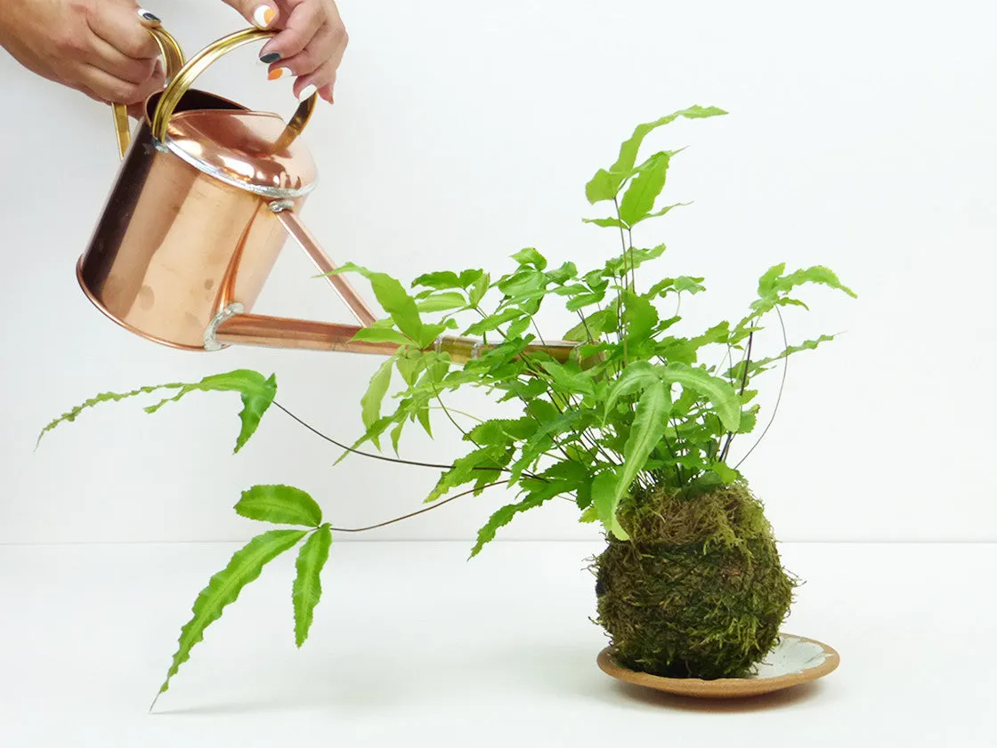 Bon Joro Watering can by Negishi Industry Co.