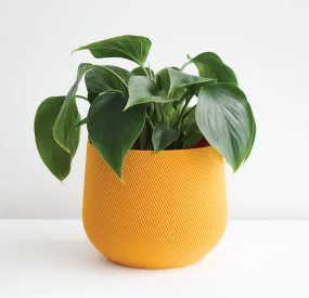 Conifer Homewares - Juniper Planter, Mustard Yellow