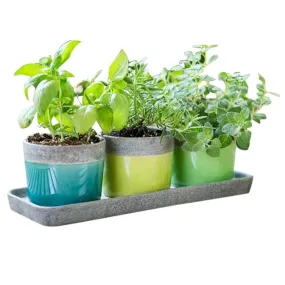 Cup Pot Window Box Set of 3