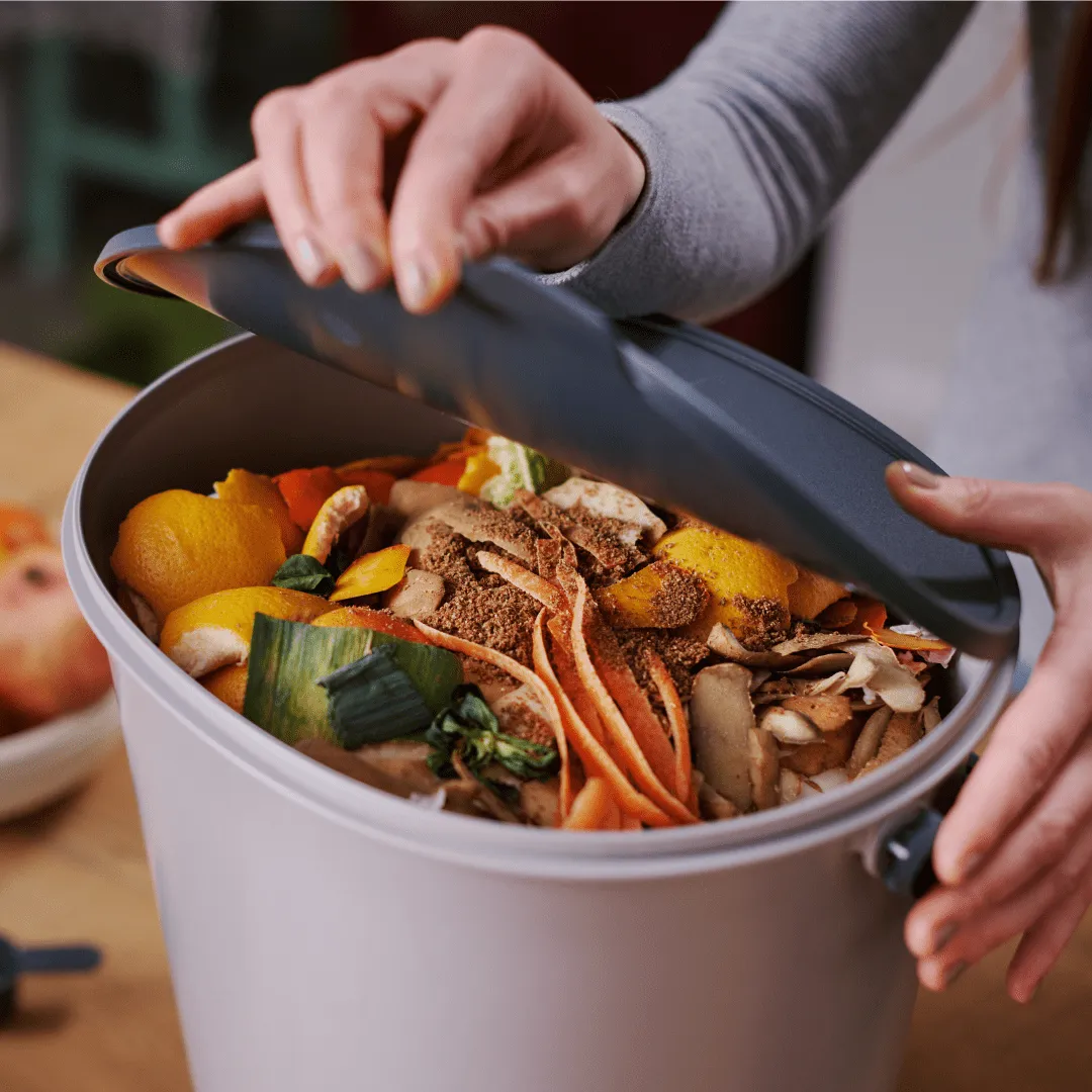 Essential Bucket (parts)