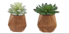 Flora Bunda Inc - Set of 2 Succ wood pot