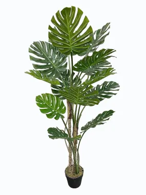 FOX & FERN Monstera Deliciosa Artificial Plant | with Basic Pot | Elevate Any Corner of Your Home/Office | Ornamental Plant Best for Gifting, Party, Home Decor (Pack of 1) (Ht. 150CM)