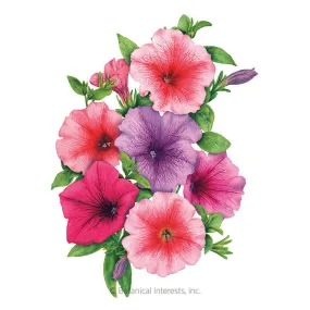 Garden Party Blend Petunia Seeds