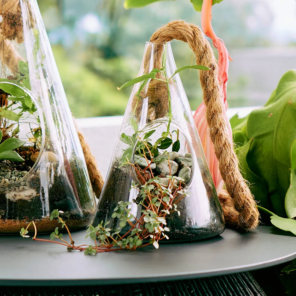 Hanging Terrarium - Cone - Small