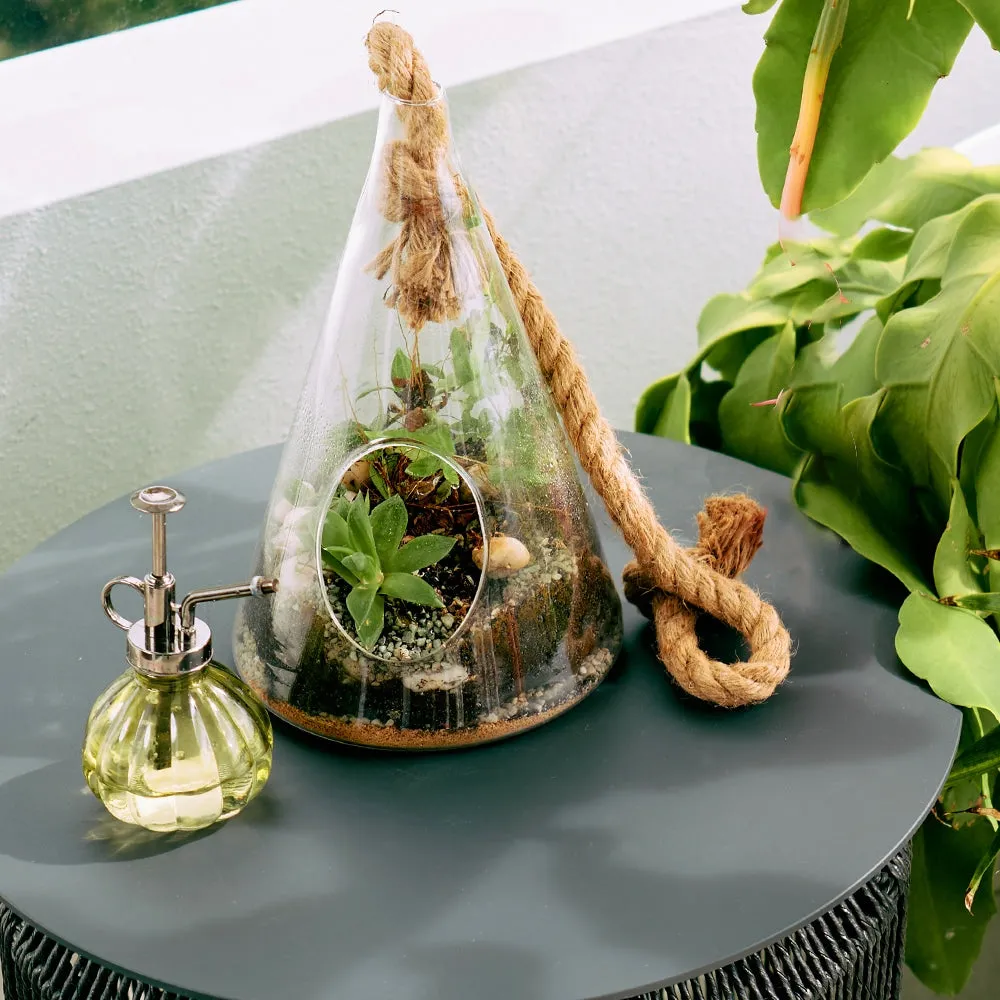 Hanging Terrarium - Cone - Small