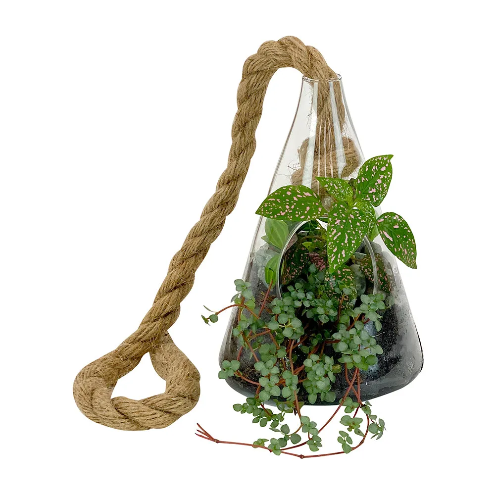 Hanging Terrarium - Cone - Small