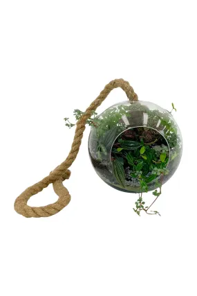 Hanging Terrarium Round