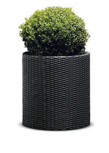 Keter Cylinder Planter- Set of 3 (S M L) - Graphite