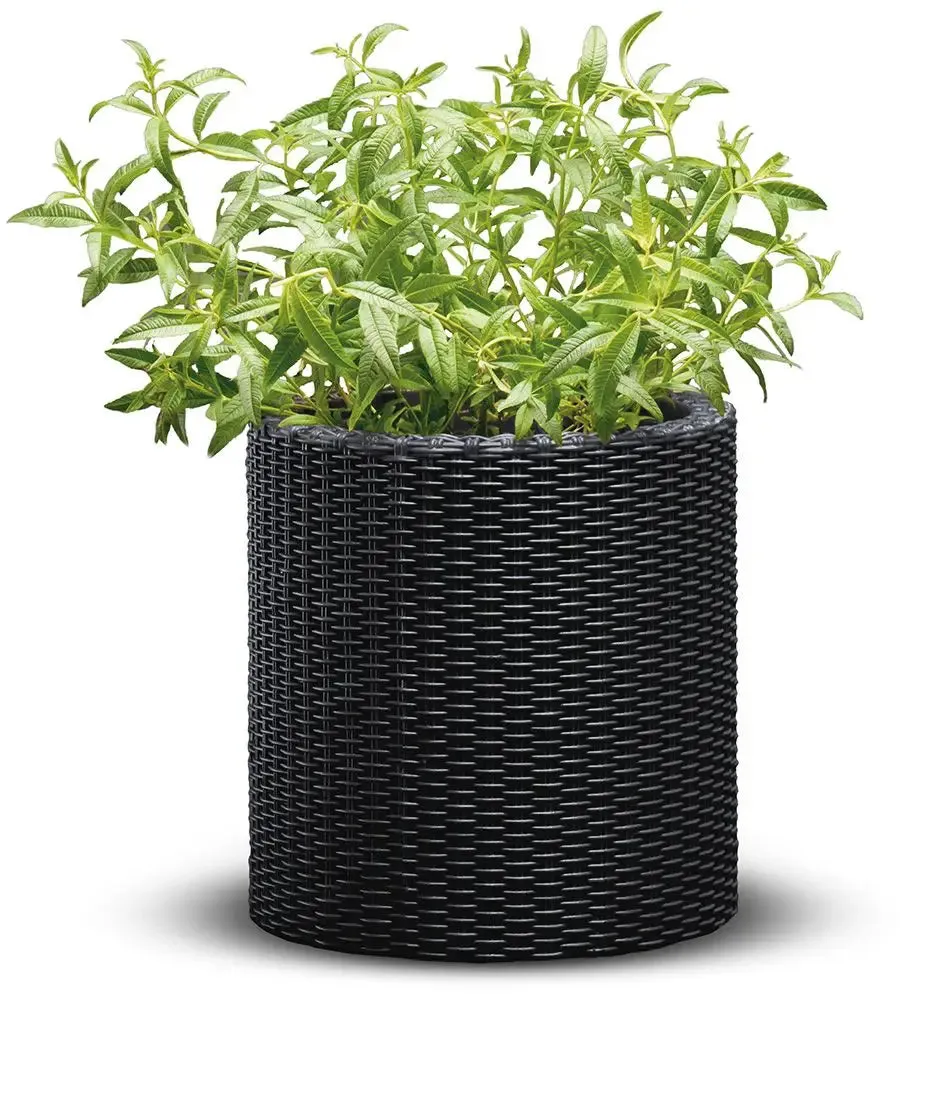 Keter Cylinder Planter- Set of 3 (S M L) - Graphite