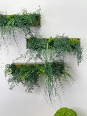 Large Hanging Wooden Planter Box with Preserved Moss and Ferns - No Watering