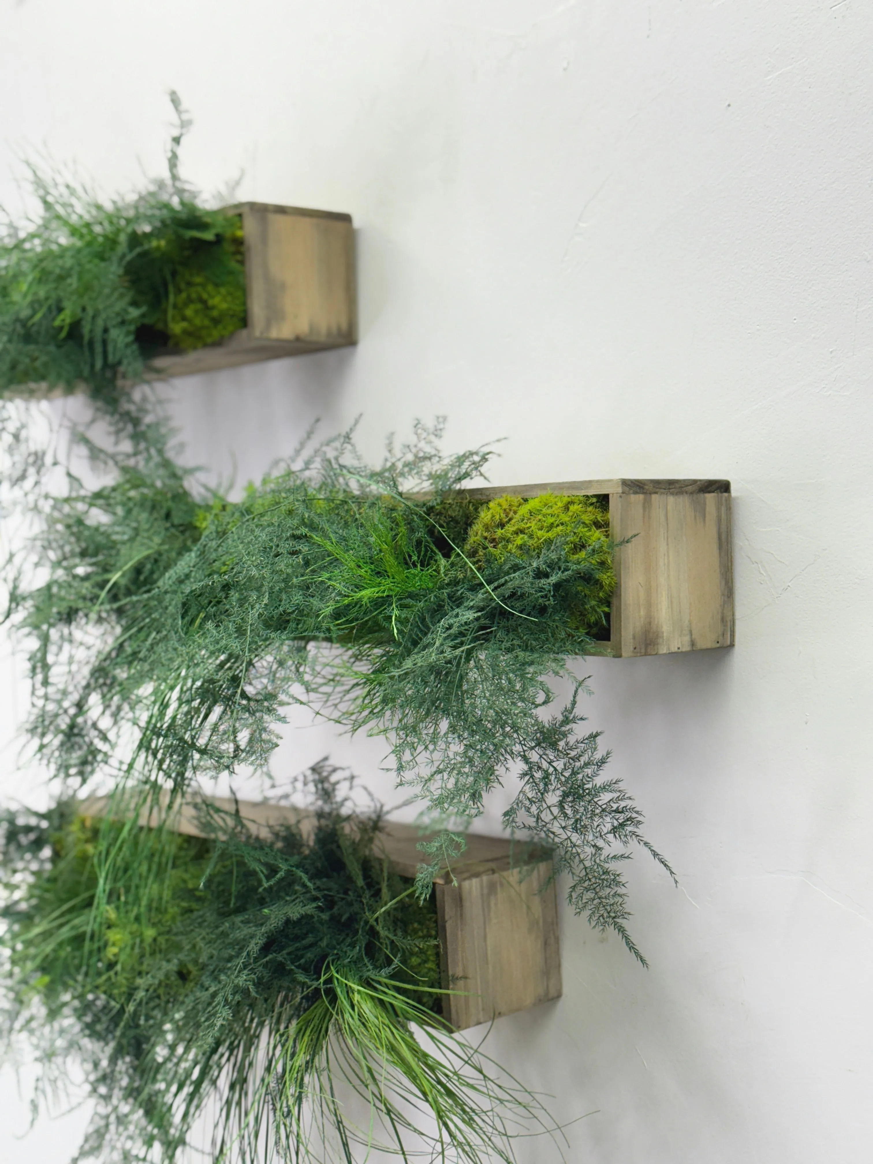 Large Hanging Wooden Planter Box with Preserved Moss and Ferns - No Watering