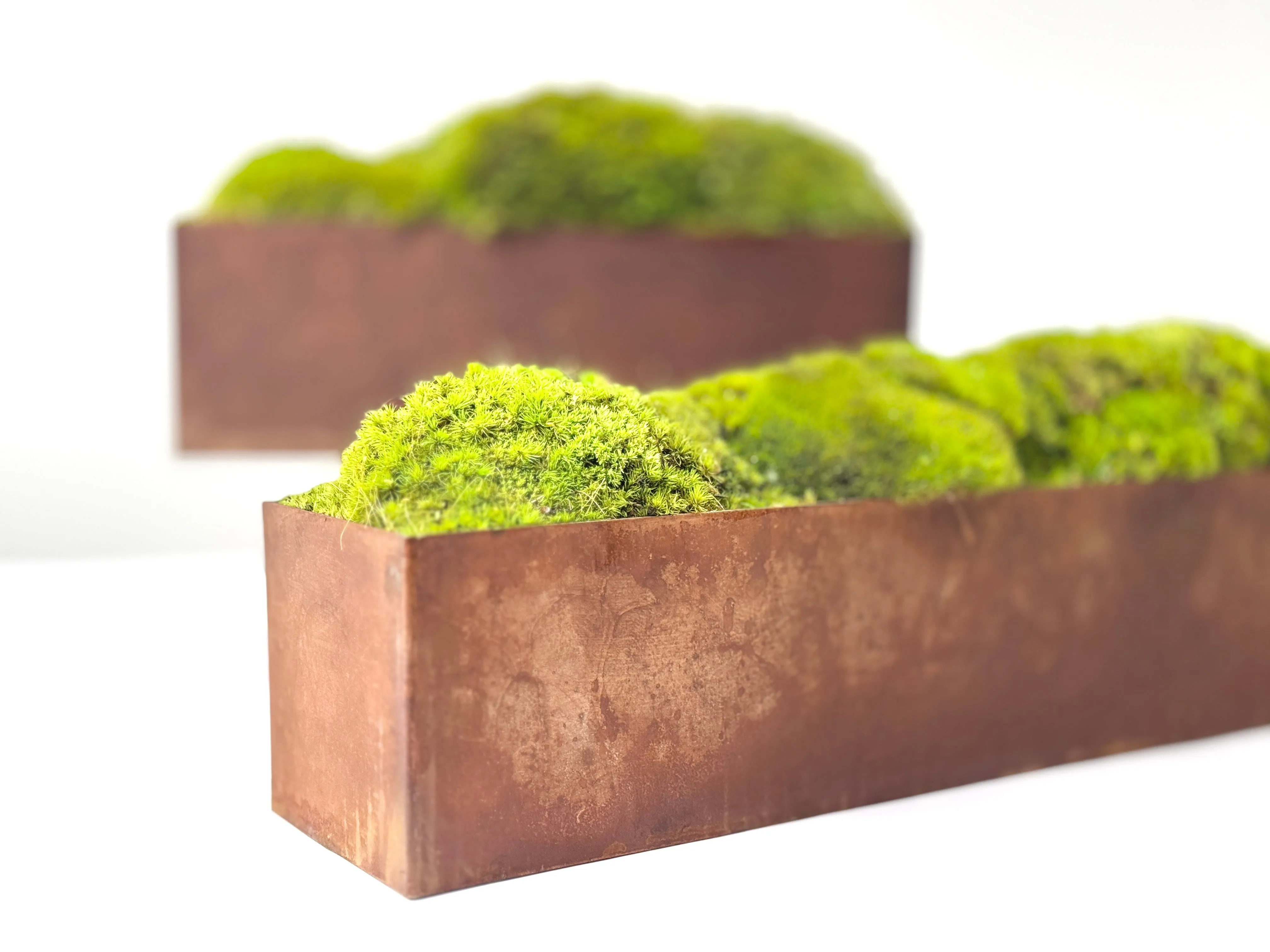 Large Metal Planter Box with Preserved Moss- No Watering