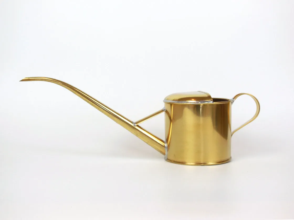 Pitcher Watering Can by Negishi