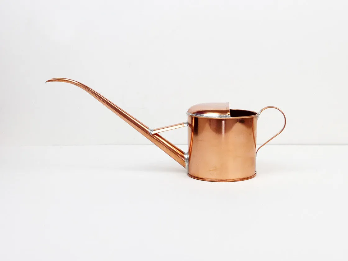 Pitcher Watering Can by Negishi