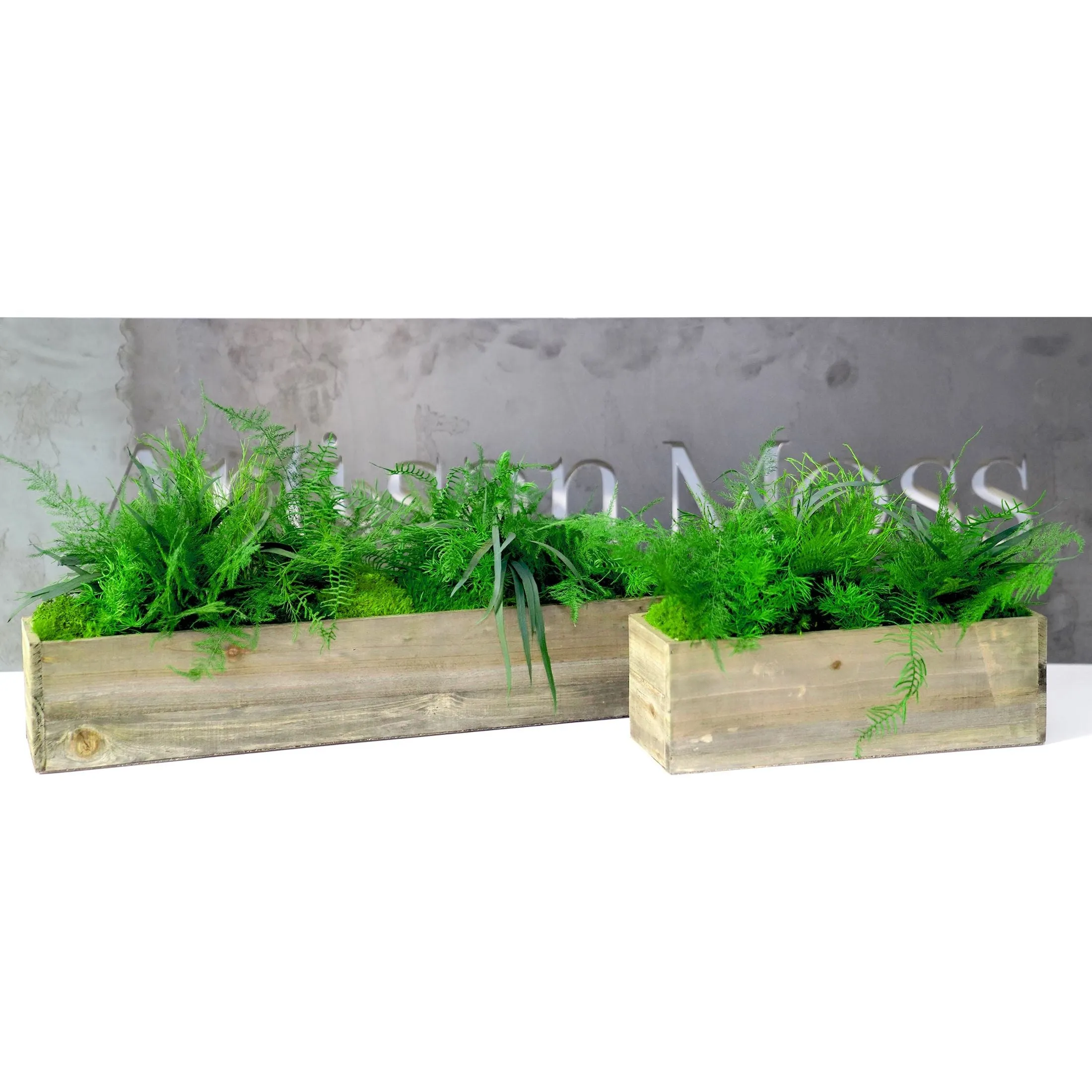 Set of 2 Wooden Planter Boxes With Preserved Moss and Ferns - No Watering