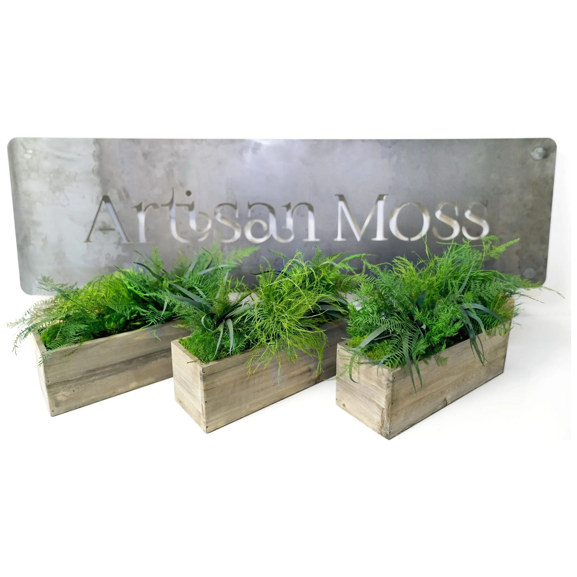 Set of 3 Wooden Planter Boxes with Preserved Moss and Ferns - No Watering