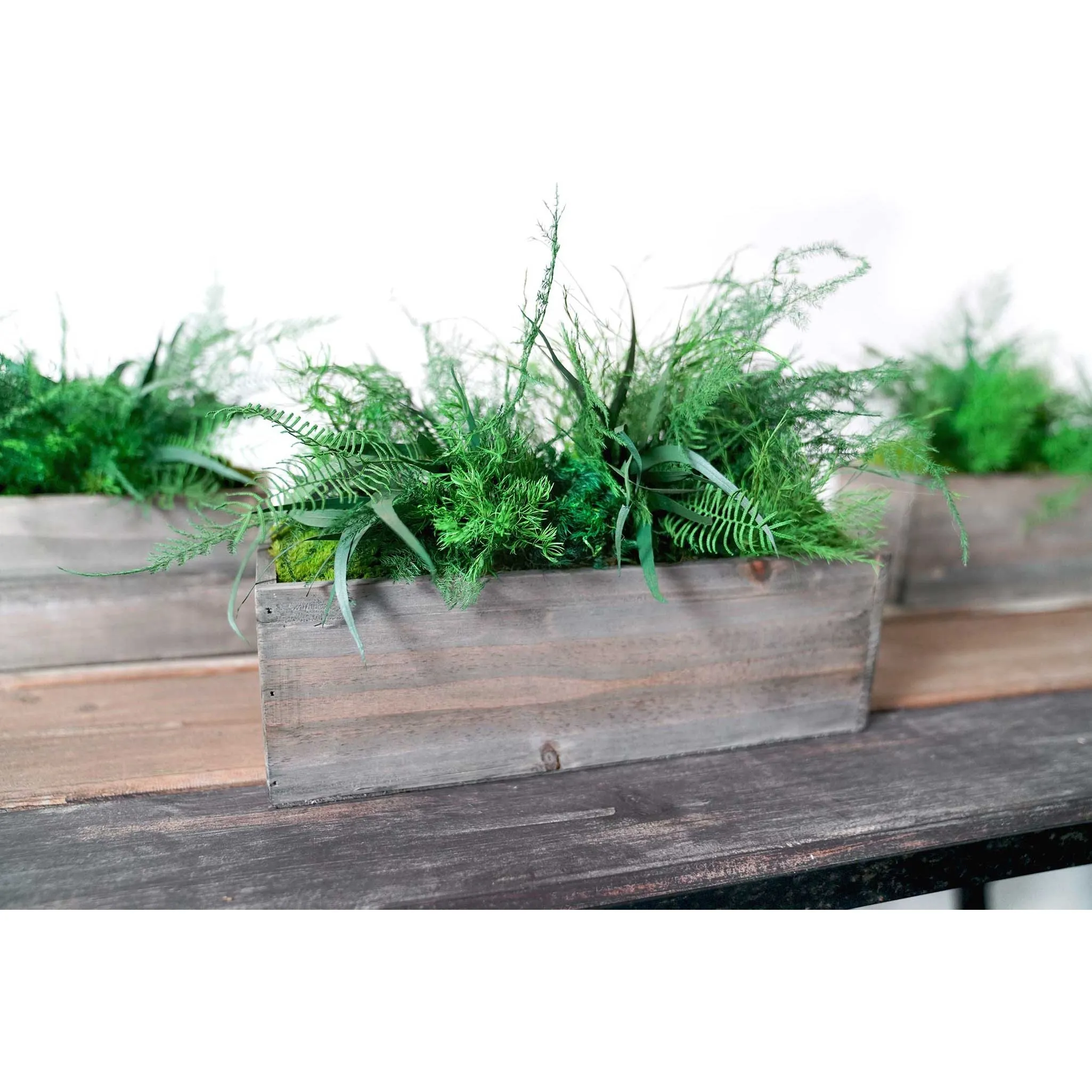 Set of 3 Wooden Planter Boxes with Preserved Moss and Ferns - No Watering