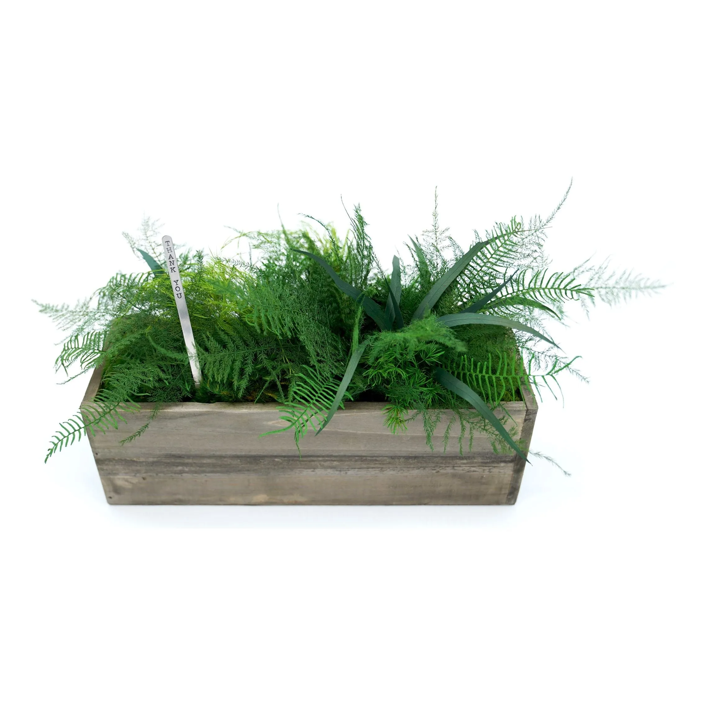 Set of 3 Wooden Planter Boxes with Preserved Moss and Ferns - No Watering