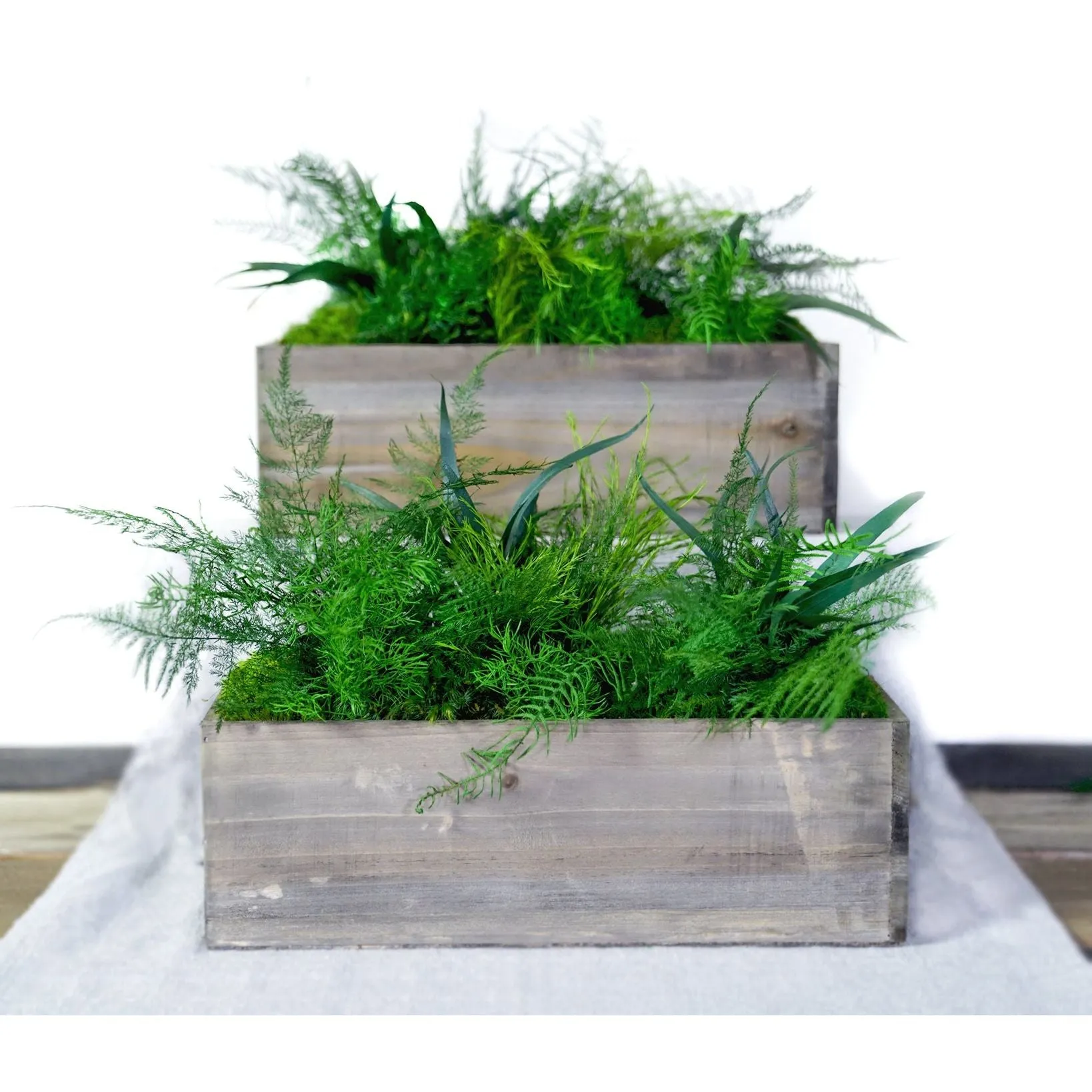 Set of 3 Wooden Planter Boxes with Preserved Moss and Ferns - No Watering