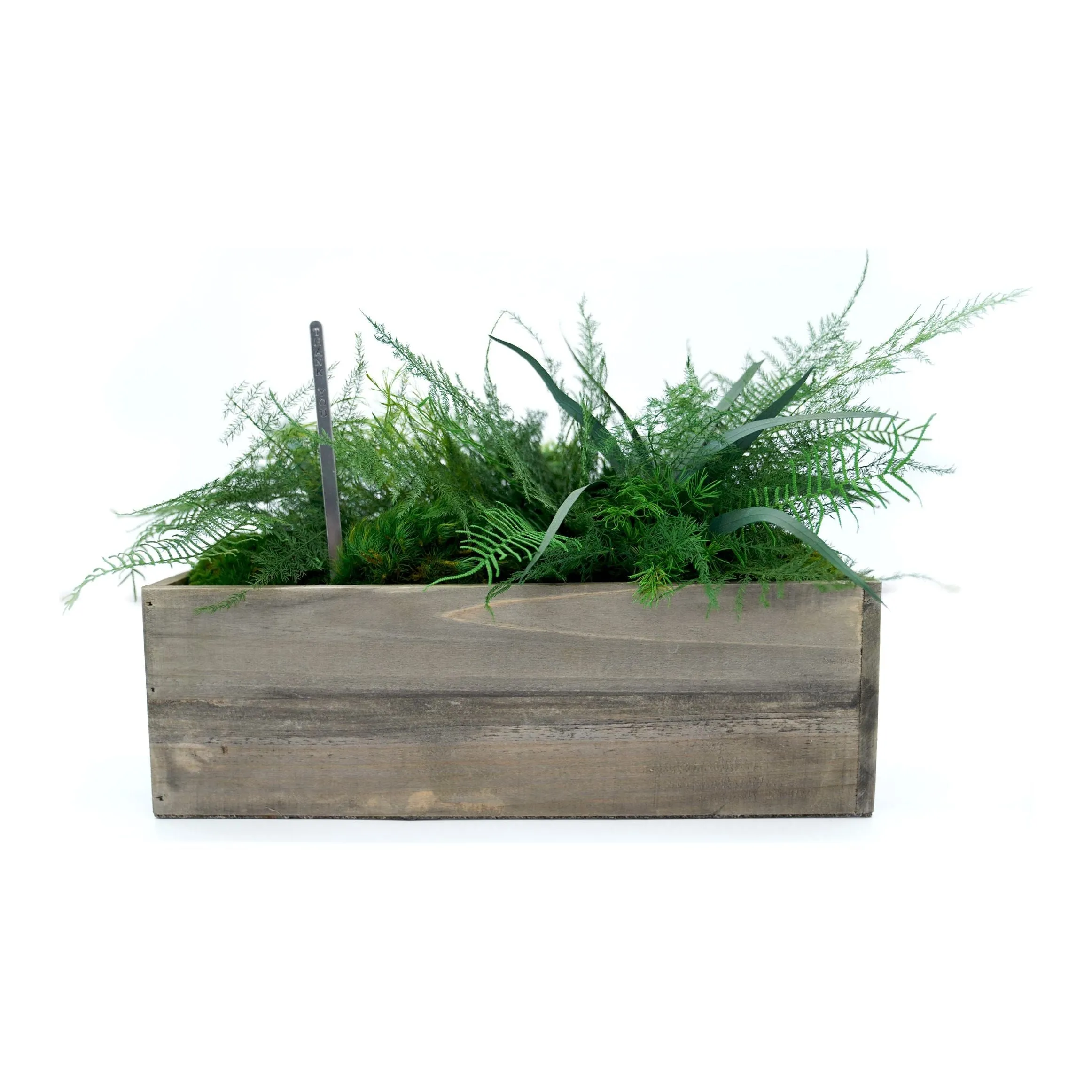 Set of 3 Wooden Planter Boxes with Preserved Moss and Ferns - No Watering