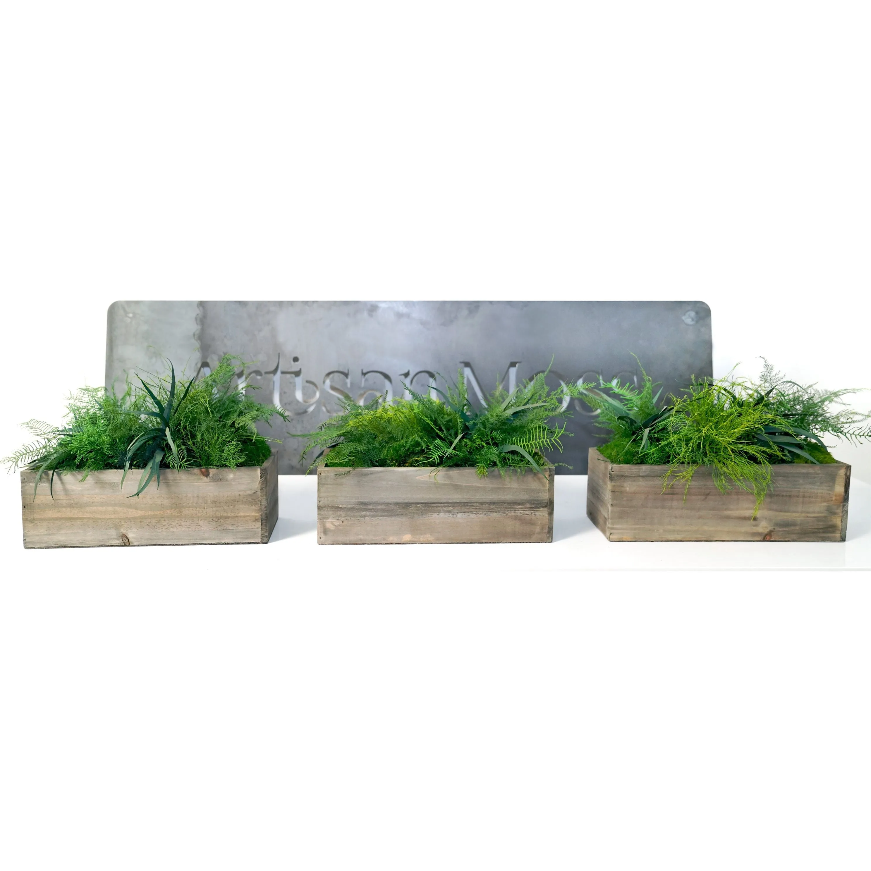 Set of 3 Wooden Planter Boxes with Preserved Moss and Ferns - No Watering