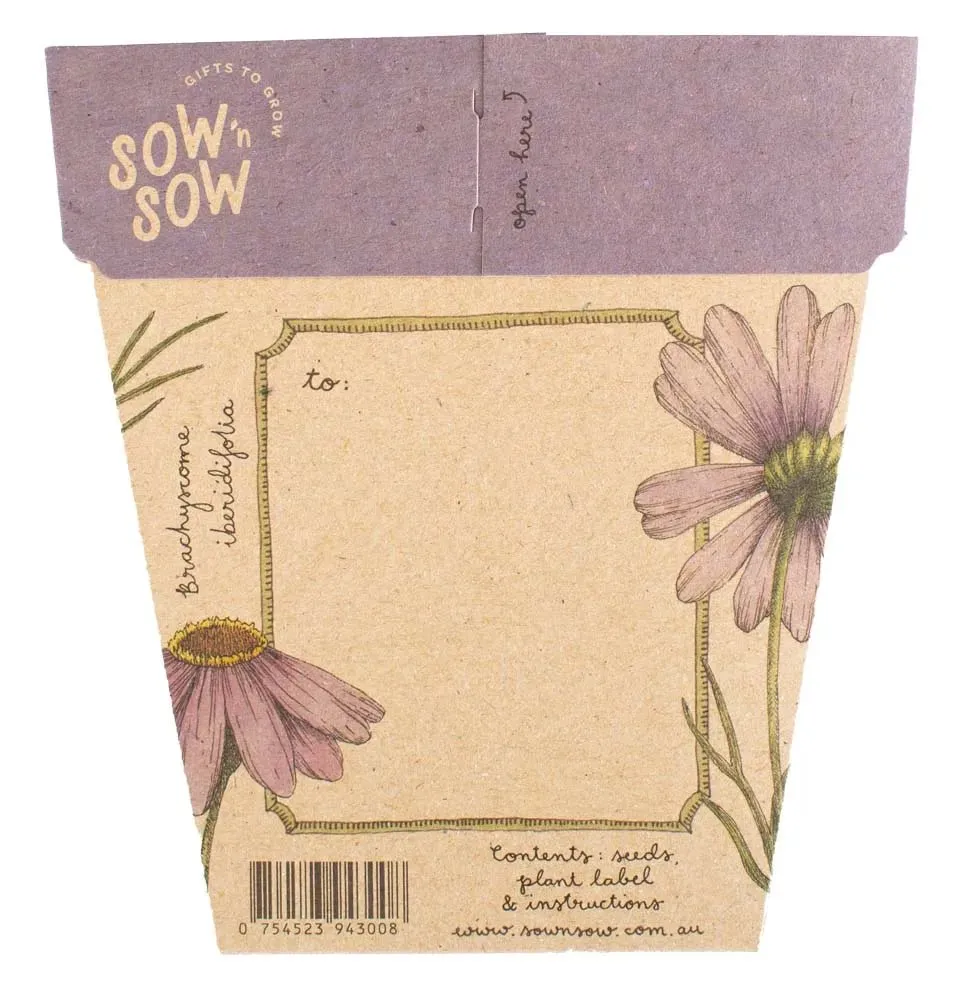 Sow n Sow Gift of Seeds - Swan River Daisy