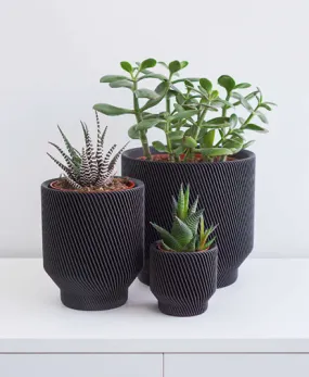 Spruce Planter, Black