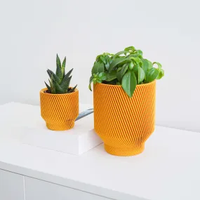 Spruce Planter by Conifer Homewares