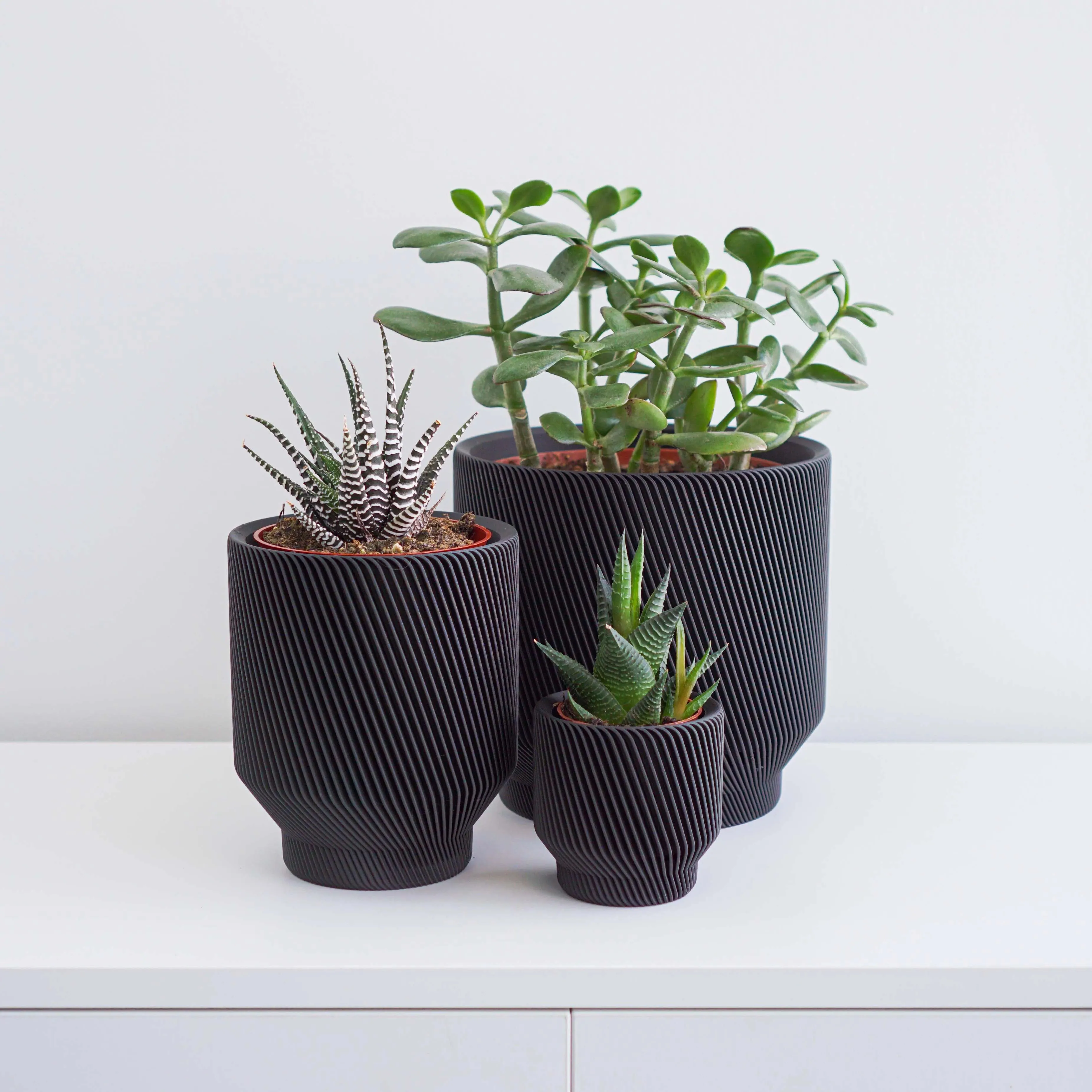 Spruce Planter by Conifer Homewares