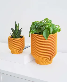 Spruce Planter, Mustard Yellow