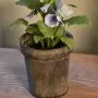 Zinc Flower Pots